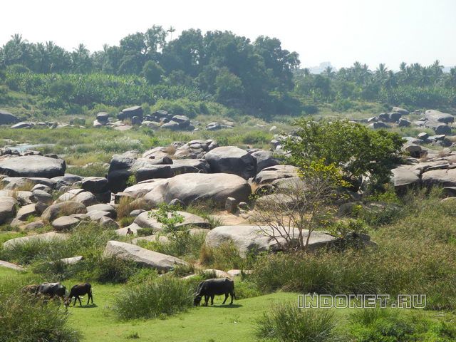 Hampi-2013_189.jpg