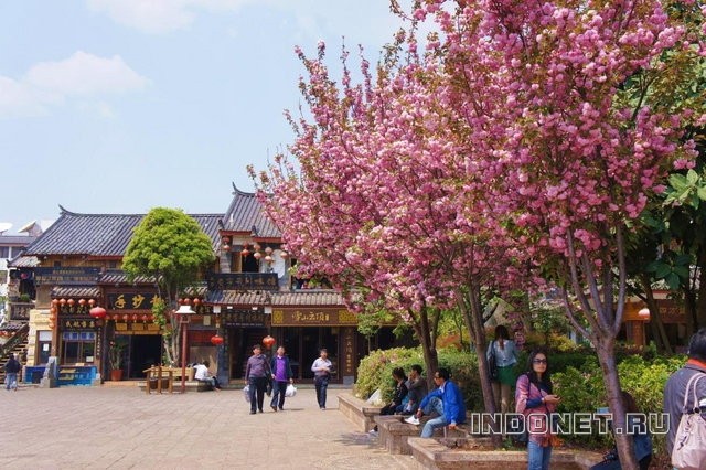China_Lijiang-7.jpg