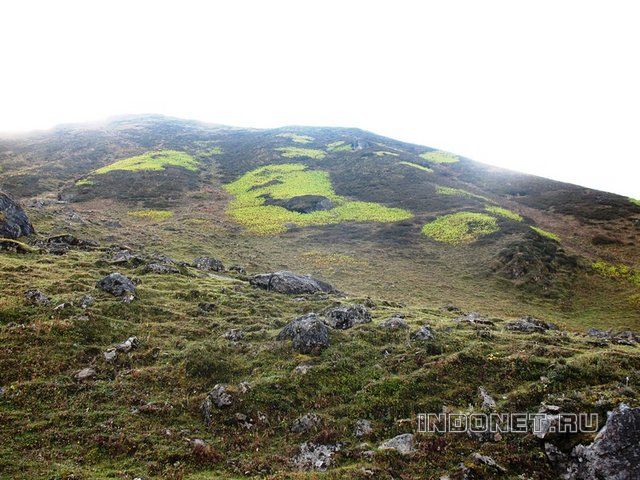 Кедарнатх. Камень силы 5_Kedarnath.jpg