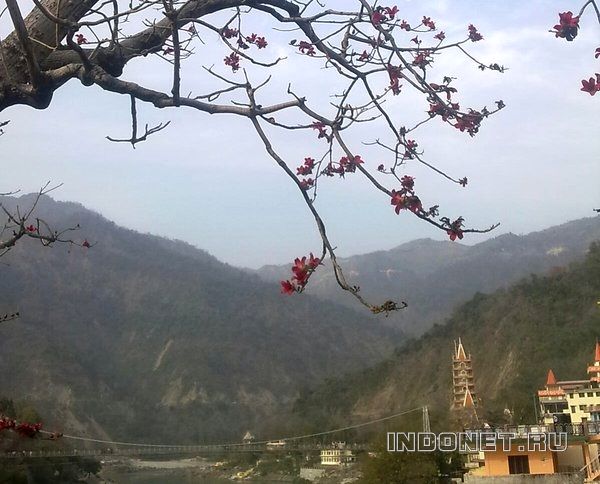 Rishikesh_laxman_jhoola