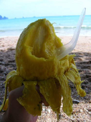 tai mango 